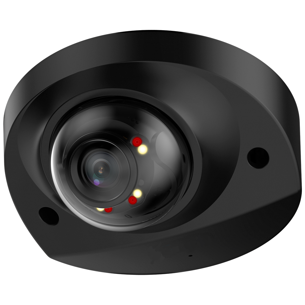 4 Megapixel Dual Light Mini Dome Zwart